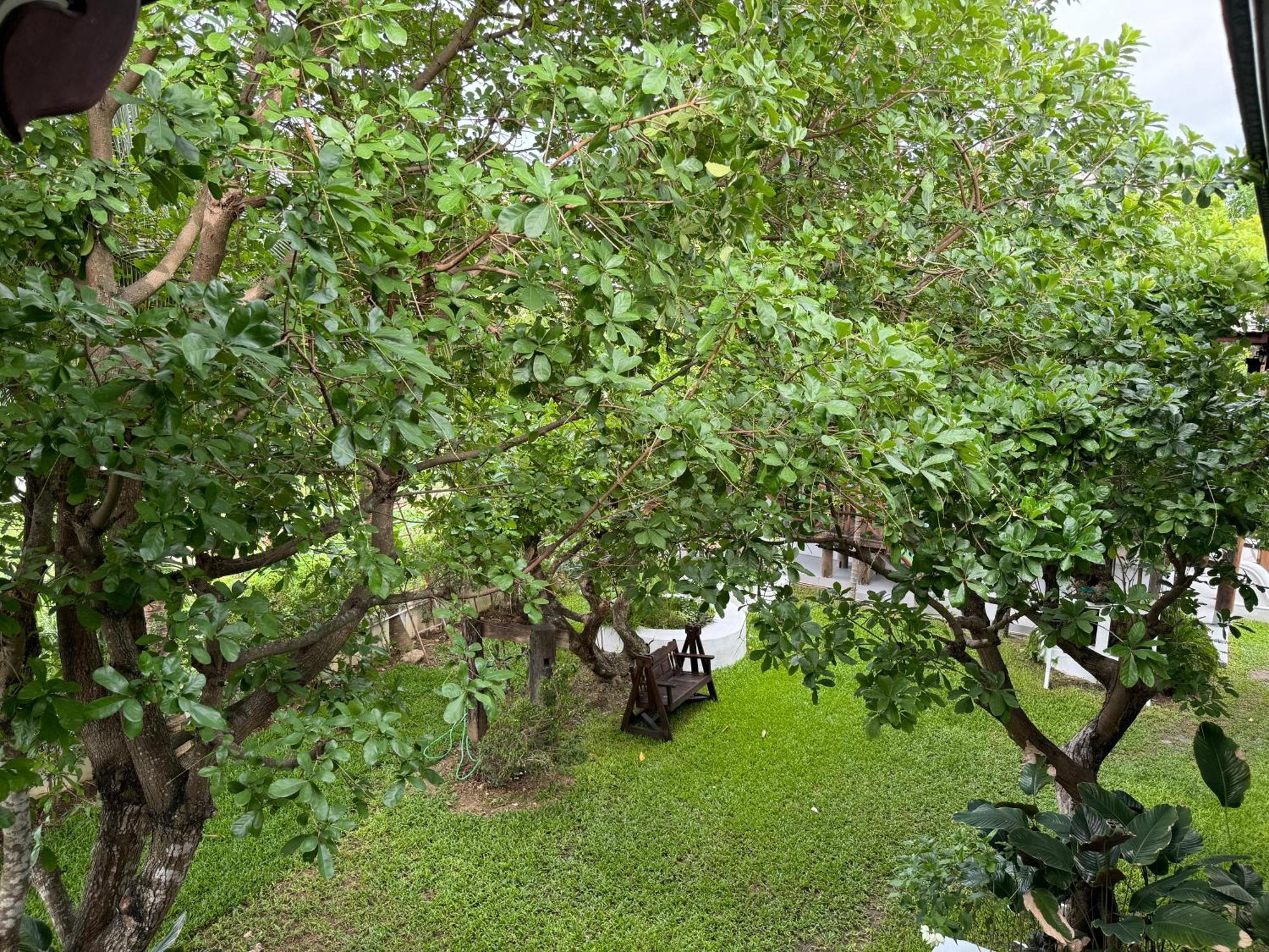 Chiang Mai Las Orquideas Resort Exteriör bild
